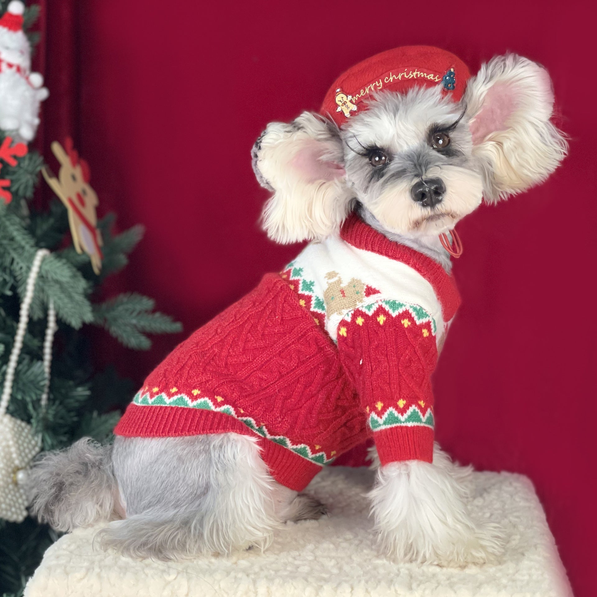 Christmas-style Hat & sweater For Pets