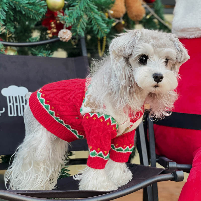 Christmas-style Hat & sweater For Pets