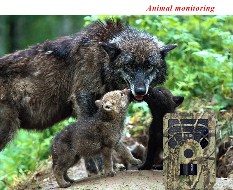 12MP 1080P Infrared Wildlife Trail Camera