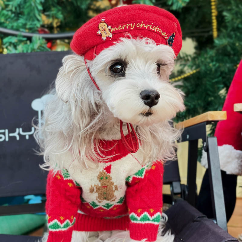 Christmas-style Hat & sweater For Pets