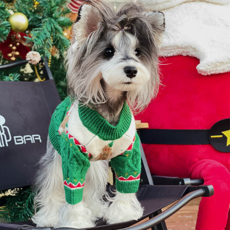 Christmas-style Hat & sweater For Pets