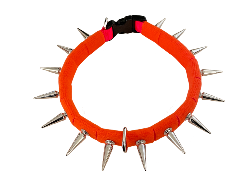Coyote Collar protective dog collar