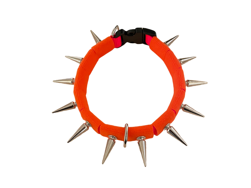 Coyote Collar protective dog collar