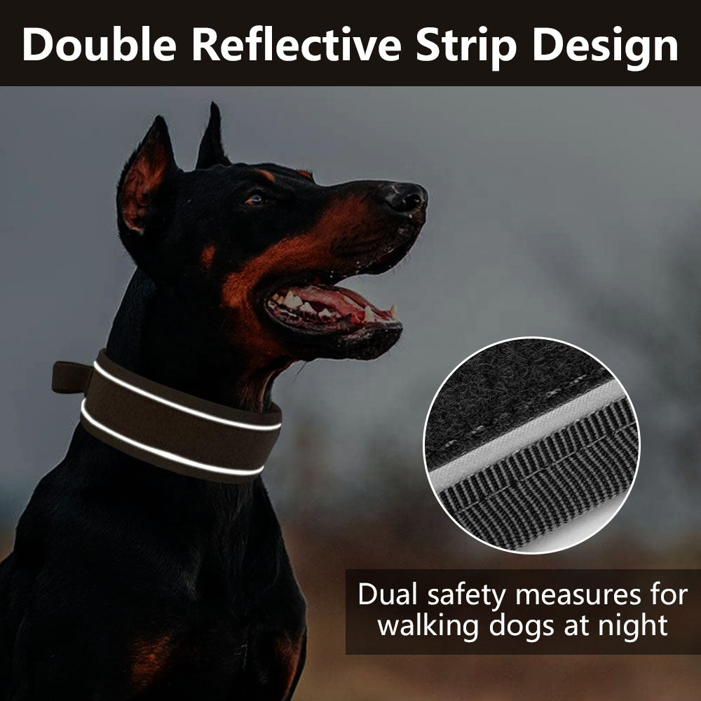 Heavy Duty 2.6 Dog Collar