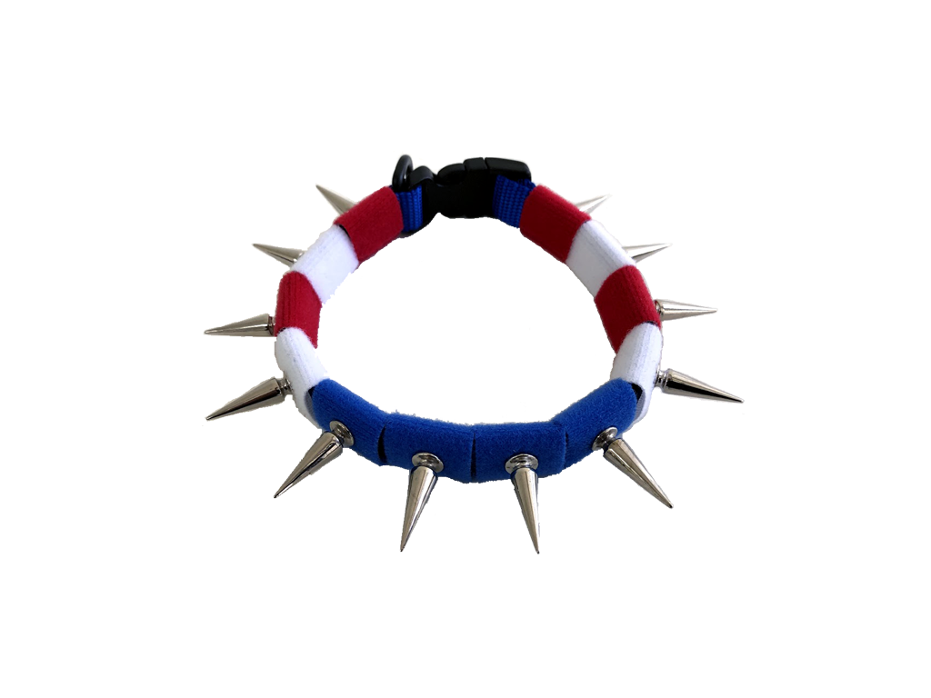 Coyote Collar protective dog collar