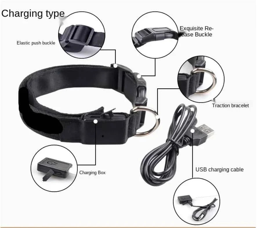 LED Pet Dog Collar for Night Safety | Bright USB Rechargeable