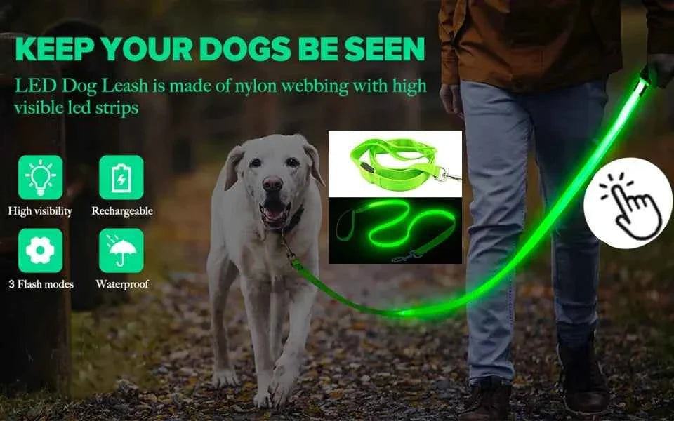 LED Pet Dog Collar for Night Safety | Bright USB Rechargeable