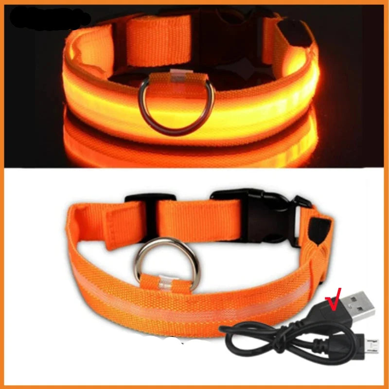 LED Pet Dog Collar for Night Safety | Bright USB Rechargeable