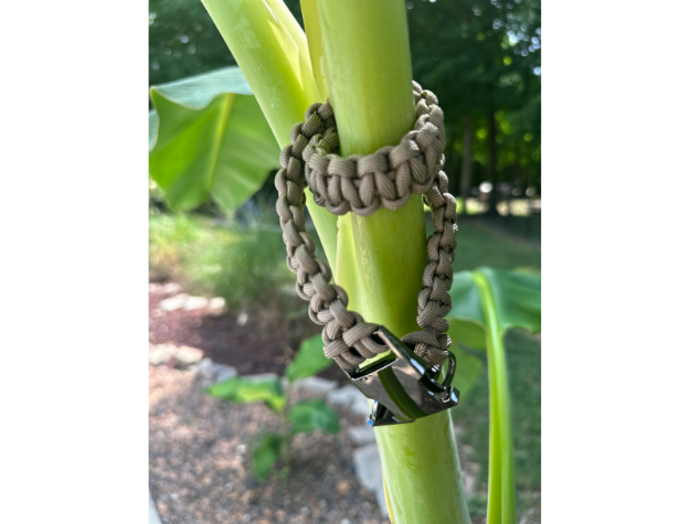 Cobra Braid in Tan - Handmade Dog Collar