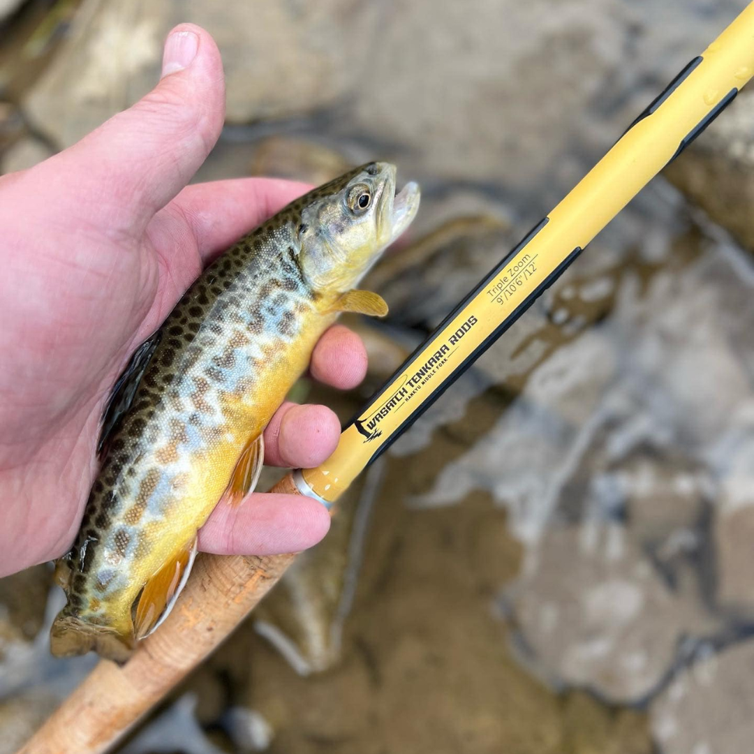 Hankyu Middle Fork Triple Zoom Tenkara Rod 9-12 ft