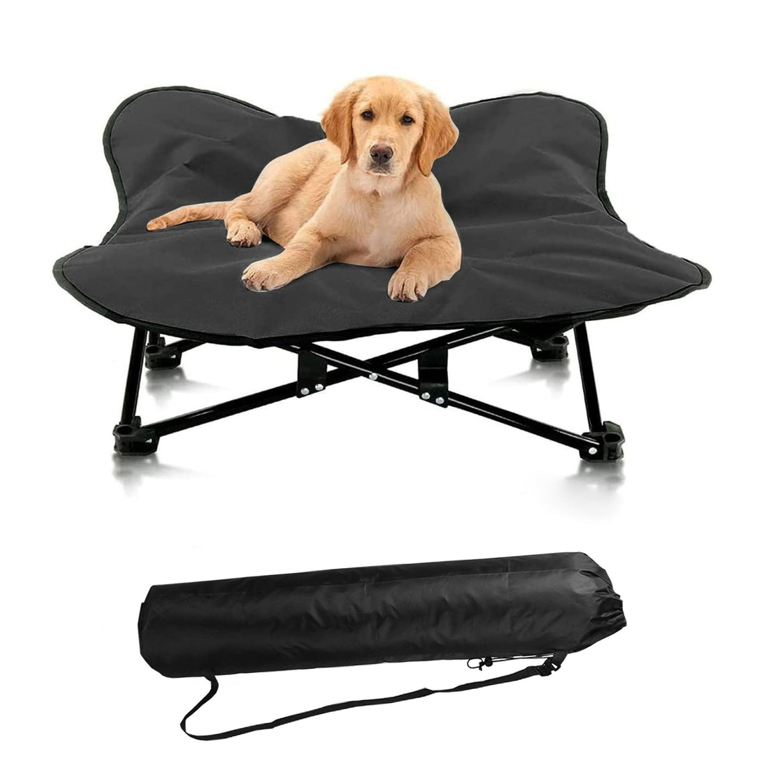 Portable Elevated Dog Bed for All sized Dogs
