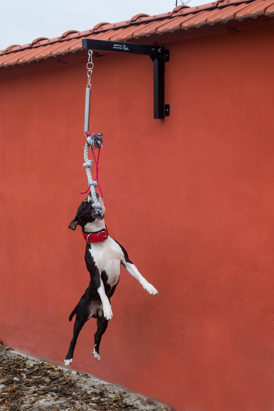 Bestia Dog Sport Spring Pole Set