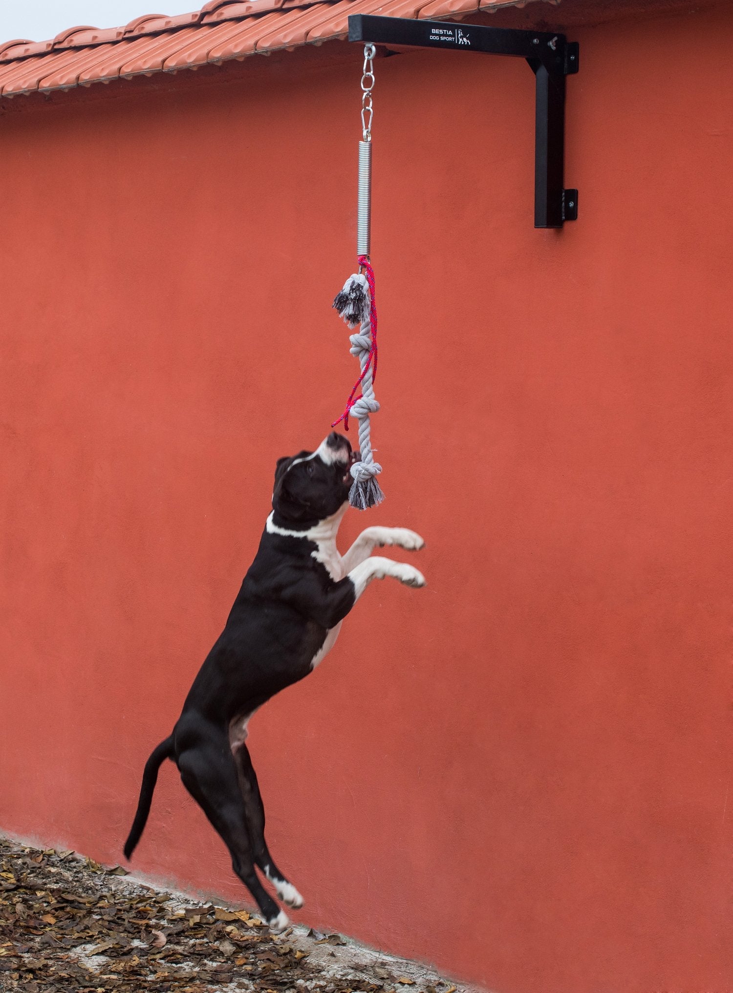 Bestia Dog Sport Spring Pole Set