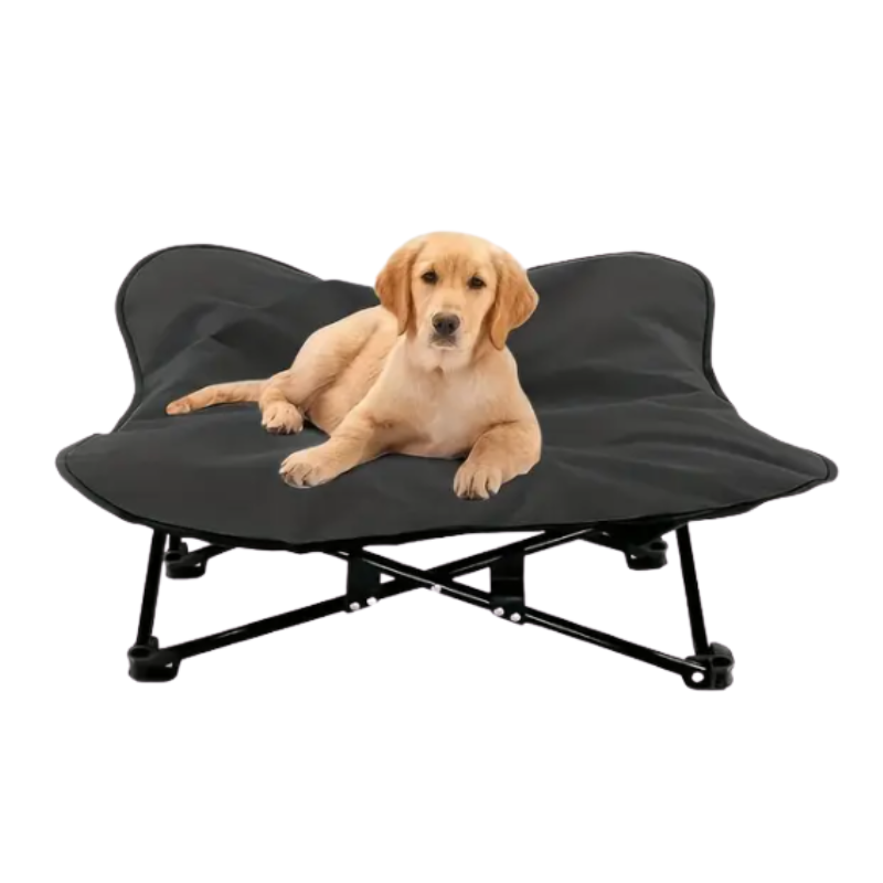 Portable Elevated Dog Bed for All sized Dogs